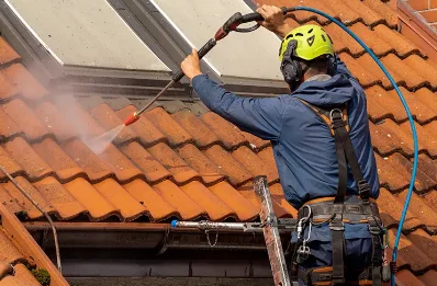 Démoussage et hydrofuge de toiture à Vinzier